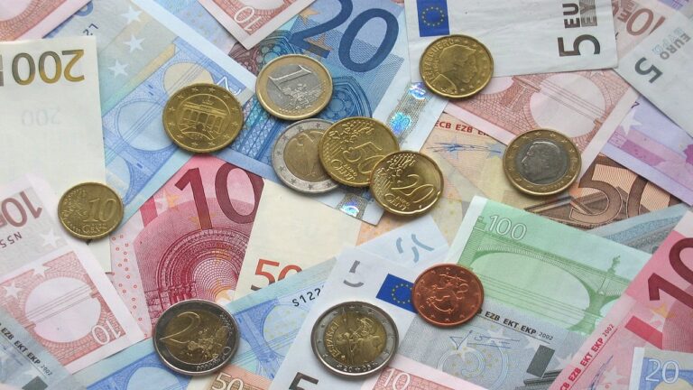 euro munt